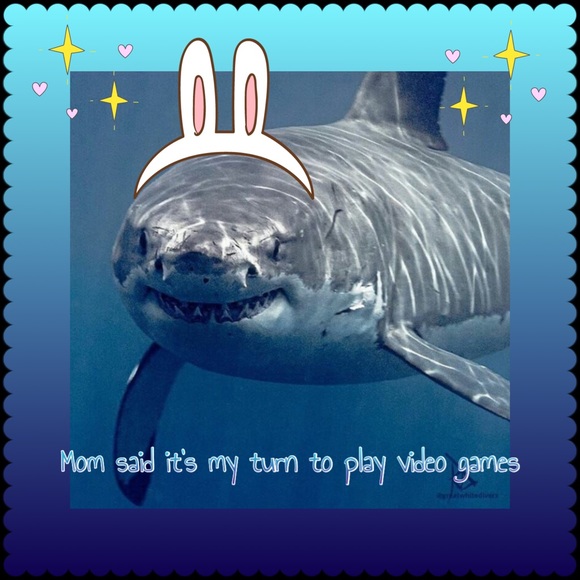 BOGOHALF ALL KIDS CLOSET - Picture 7 of 8